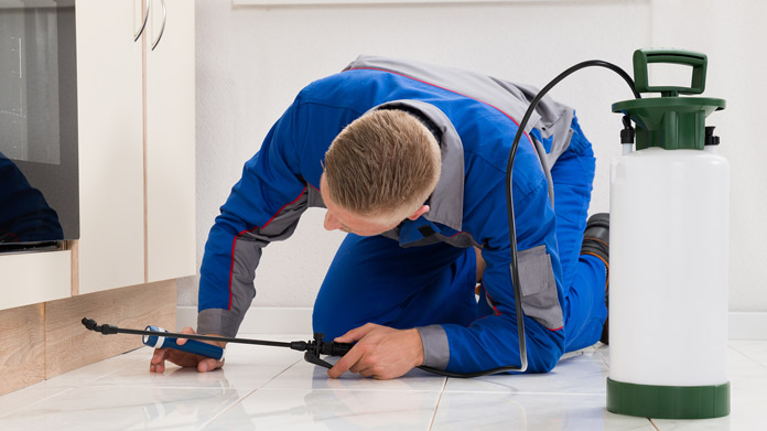 Pest Control Service