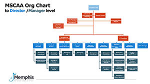 MEM Org Chart