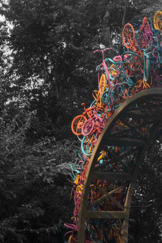 Rebekah Butler, Shadow of Life, White Station High School