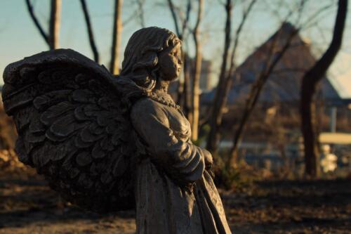 Sofia Bologna, The Guardian Angel, Collierville High School